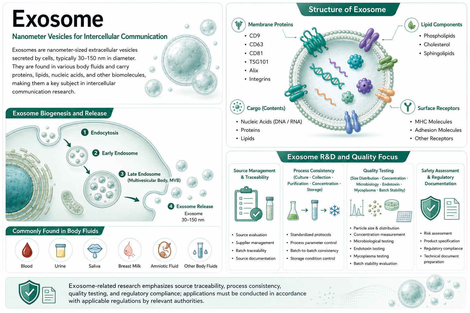 Exosome infographic: structure (membrane proteins, lipid components, cargo, surface receptors), biogenesis and release, R&D and quality focus, and common body fluids